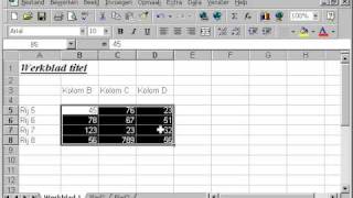 EXCEL Les 11 randen maken om cellen [upl. by Maddox]