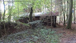 Siamese Cats explore German Spooky Fairy Tail Forest Part 1 quot2 Wooden Shedsquot On Leash [upl. by Etty]