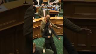 Haka im neuseeländischen Parlament 🇳🇿 Meinung [upl. by Esenwahs]