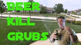 Does Beer Kill Grub Worms in the Lawn [upl. by Assiluj]