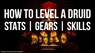 Guide HOW TO LEVEL A DRUID FOR DIABLO 2 RESURRECTED  STATS  SKILLS  GEAR [upl. by Ajnat]