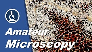 🔬 053  What are some things that AMATEUR MICROSCOPISTS look at  Microbehunter Channel Trailer [upl. by Lurie]