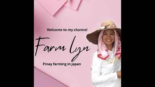 74 SLS strawberry farm agriculture Japan farming [upl. by Lutim]