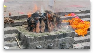 Hindu Cremation Ceremony  Pashupatinath Temple  Kathmandu Nepal [upl. by Siladnerb]