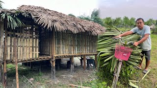 Finally Bamboo Home chhat ke liye taal phat kharida [upl. by Tore]