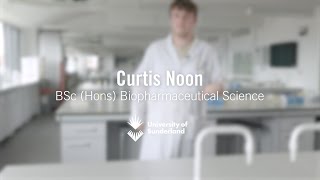 Curtis Noon Case Study [upl. by Cotsen882]