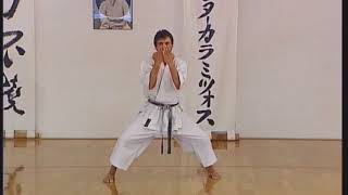 Shotokan  Meikyo [upl. by Imogen]