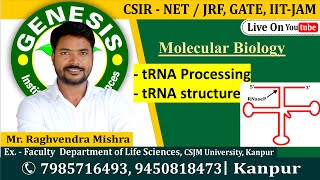 tRNA Processing  Molecular Biology  CSIR NETJRF  Life science  GATE DBT [upl. by Tartaglia610]