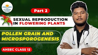 Sexual Reproduction in Flowering PlantsPollen Grain  Chapter 1  Biology HS Class 12  Ahsec [upl. by Tower]