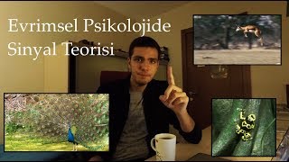 Evrimsel Psikolojide Sinyal Teorisi [upl. by Dustie]