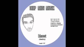 VIVEK  Kismet Destiny DEEP MEDi Musik 2012 [upl. by Cleres523]