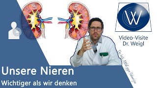 Unsere Nieren Aufbau Aufgaben amp Funktionsweise einfach erklärt  filtern Hormone Vitamin D etc [upl. by Spielman]