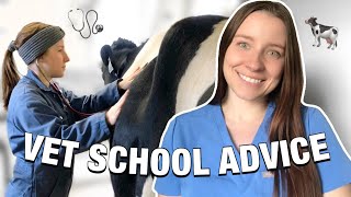 How to get into Vet School  Interview advice Tips amp Tricks from a Fourth Year Student [upl. by Aitetel]