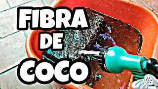 Como Preparar Fibra de Coco para Terrarios [upl. by Kathye]