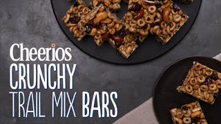 Crunchy Trail Mix Bars [upl. by Efioa]