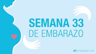 Semana 33 de embarazo  33 semanas de embarazo  El embarazo semana a semana [upl. by Adamsun]