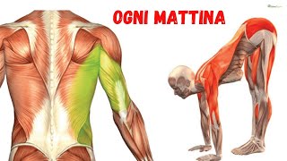 6 esercizi stretching da fare tutti i giorni [upl. by Toy87]