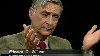 E O Wilson interview 1998 [upl. by Atthia]