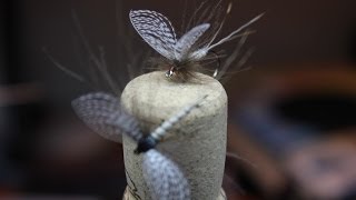 Mayfly with wally wing dry fly [upl. by Mickelson452]