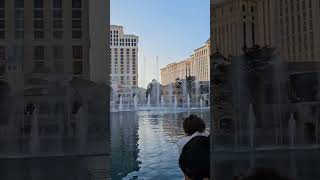 Fountains of Bellagio Las Vegas shorts [upl. by Htelimay]