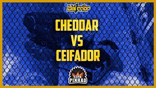 Cheddar X Ceifador  Copa Pinhão 2024 [upl. by Avin]