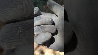 I Thought I found a Trime treasure treasurehunting metaldetecting silver coin find vlog [upl. by Dleifxam]