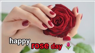 Rose day status 🌷 happy rose day WhatsApp status 🌷 rose day special status 🌷 happy rose day 2024 [upl. by Curtice]