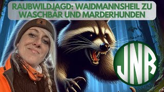 RAUBWILDJAGD  Waidmannsheil zu Linda´s Waschbär und den zwei Marderhunden [upl. by Eila]