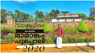 Poopoli  WAYANAD  AMBALAVAYAL  2020  Awesome flower show flowers [upl. by Nosimaj508]