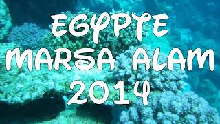 Egypte 2014 duik vakantie [upl. by Quintessa840]