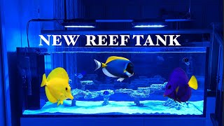 My Waterbox Peninsula Reef Aquarium Setup Ep 1 [upl. by Rhee]