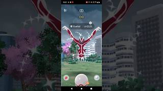 I got Shiny Yveltal in Pokemon go From Raids  Pokemon go Raids June 2024 pokemongo shorts raid [upl. by Asiaj]