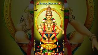 swamysaranam sabarimala sannidhanam mandalakaalam irumudikettu sandhyavandanam 🙏🌹🪔🪔🪔🪔🪔🪔🪔🪔🪔🪔🪔🪔 [upl. by Anielram]