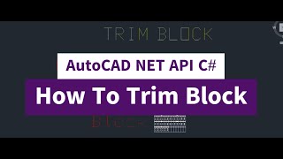 20  AutoCADNET API C  How to trim multiple blocks [upl. by Eilahtan229]