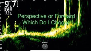 Garmin Livescope How Do I Choose Between Forward or Perspective Mode Let’s Take A Quick Look [upl. by Jago178]