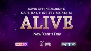 Natural History Museum Alive with David Attenborough Official trailer [upl. by Cavit248]