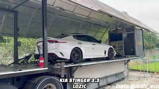 KIA Stinger 3 3 LOZIC ECU TUNED 416Whp amp 65tq [upl. by Naeerb]