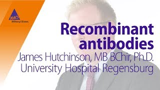 Recombinant antibodies in flow cytometry – A transplant immunologist shares his opinion [upl. by Eentruok]