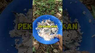 Tutorial Buat Pekasam Ikan [upl. by Herries793]