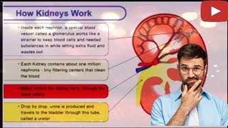 This Is How the Kidneys Work real vision  know your kidney [upl. by Joao]