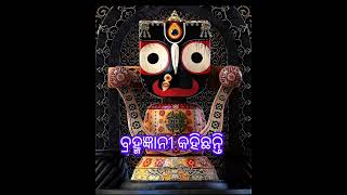 Jay Jagannath Swami 🙏support shortvideo bhajan jagannath bhajan 4kstatus [upl. by Blisse]