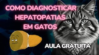 COMO DIAGNOSTICAR HEPATOPATIAS EM GATOS PASSO A PASSO [upl. by Lana]