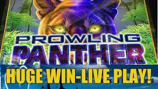 Huge Win Prowling Panther Slot Machine BonusLive Play [upl. by Nosned]