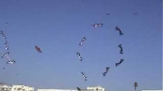 Revolution kite megateam 16 kites [upl. by Nesyrb]