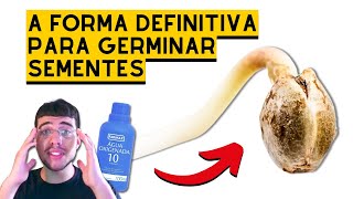 GERMINANDO SEMENTES com ÁGUA OXIGENADA análise de artigo [upl. by Voss]