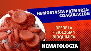 COAGULACION Hemostasia primaria desde la fisiología y bioquímica  Hematología [upl. by Emmalee]