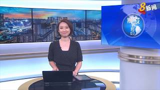 MOBOT  Channel 8 News  Chingay 2018 [upl. by Monagan]