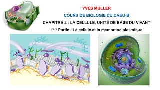 Chapitre 2 – 1ère Partie  La cellule et la membrane plasmique  Cours de Biologie du DAEUB [upl. by Micheal]