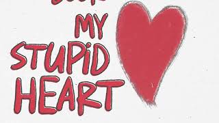 My Stupid Heart Lyric Video  Walk off the Earth [upl. by Sremlahc]