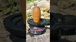 Sankar ka Shivling Ghar me Rakhne se kya hota hai Narmadeshwar Shivling 8458897497 shivlinghar [upl. by Orban670]